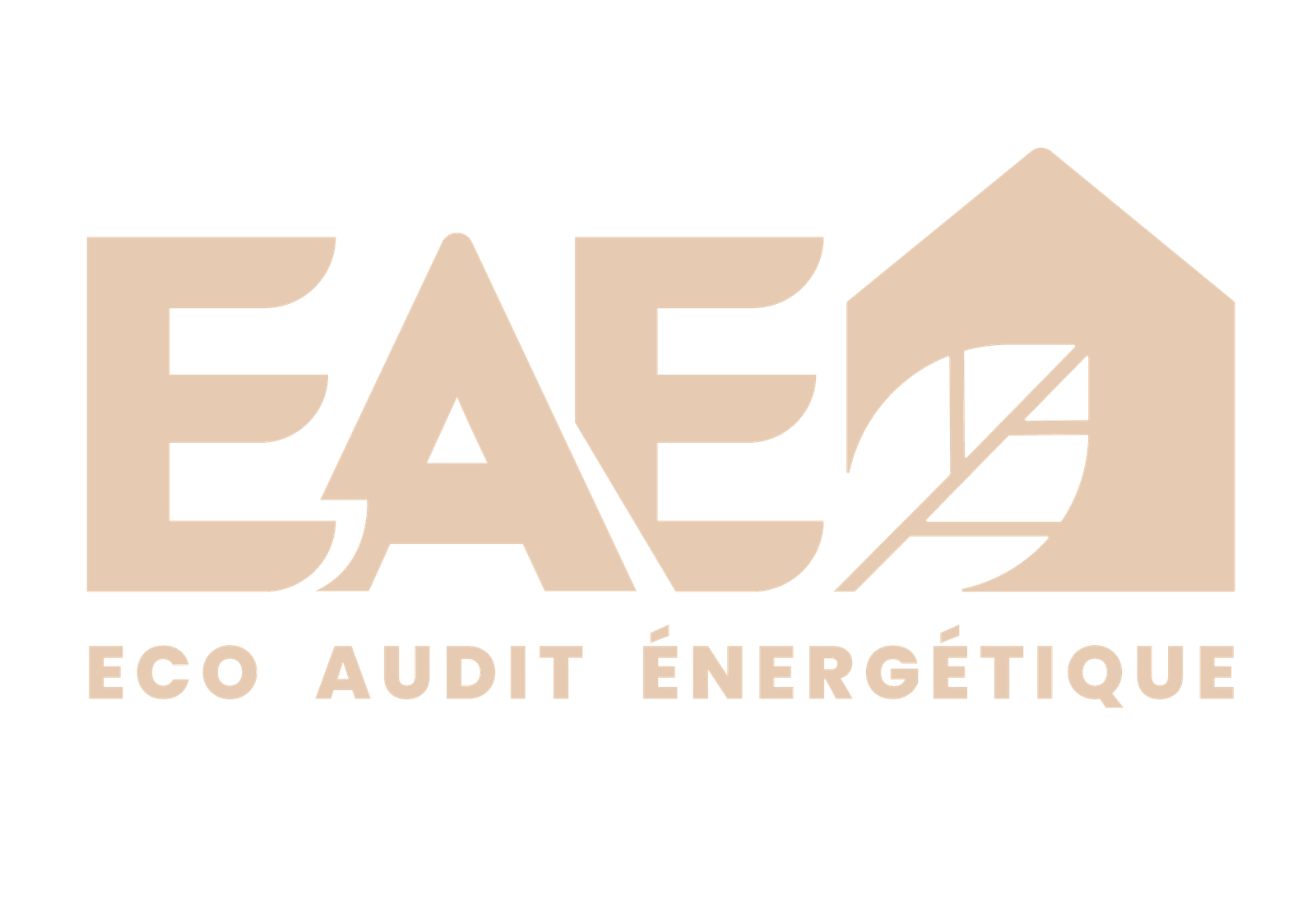 logo eco audit energetique
